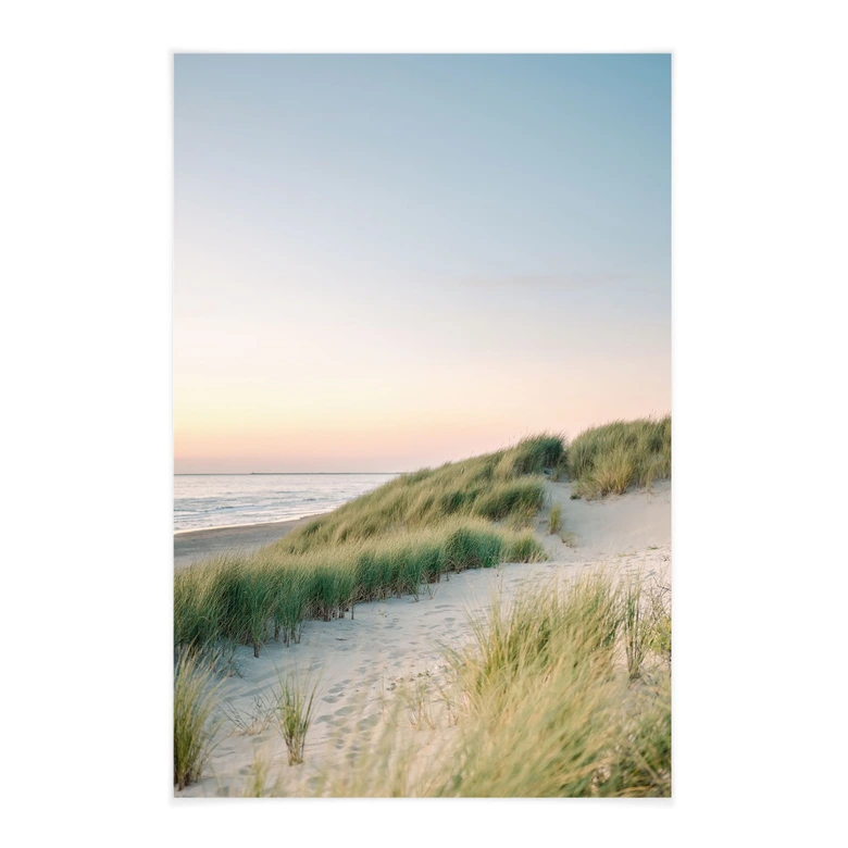 Stoffbild Dünen an der holländischen Küste - Zwart 