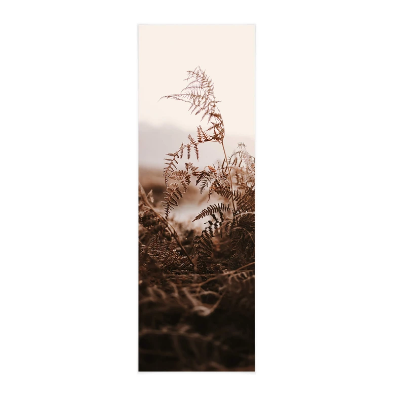 Stoffbild Goldene Gräser im Herbst Panorama - Annie 