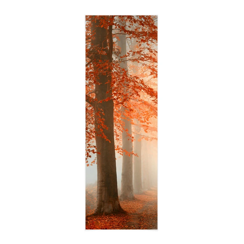 Stoffbild Dingemans - Herbstträume - Panorama 