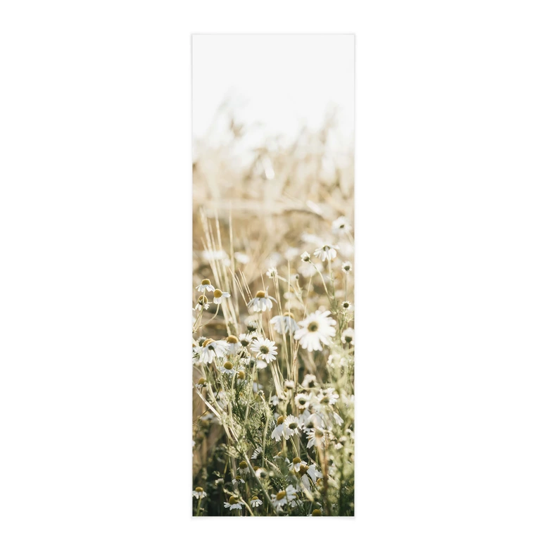 Stoffbild Sommerwiese mit Kamille - Annie - Panorama 