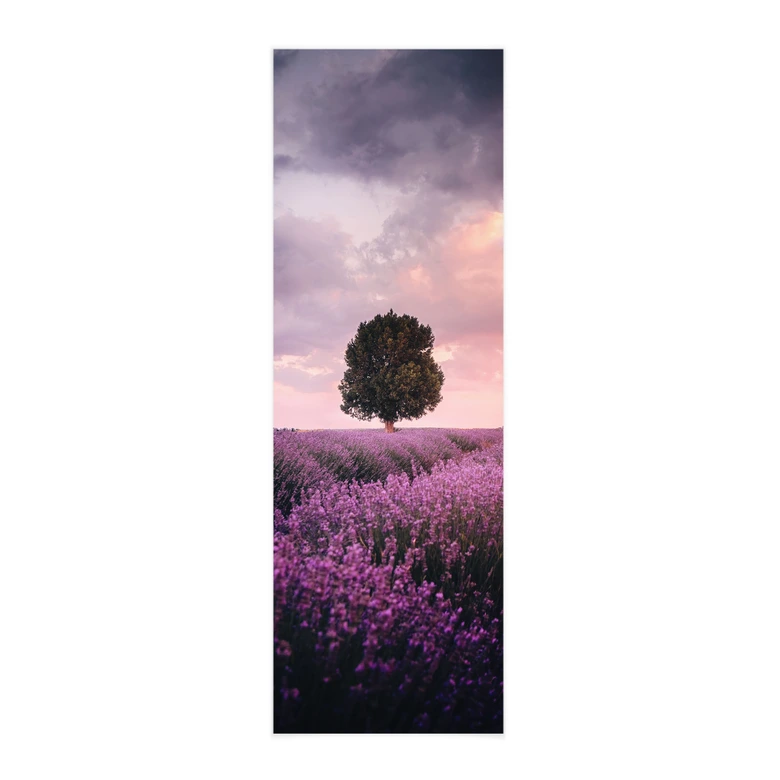 Stoffbild Lila Lavendelfelder bei Sonnenuntergang - Cevik - Panorama 