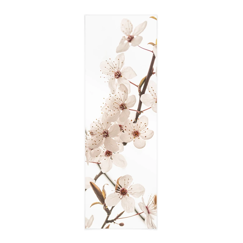 Affiche textile Branche avec fleurs de cerisier blanches - Sisi & Seb - Panorama 