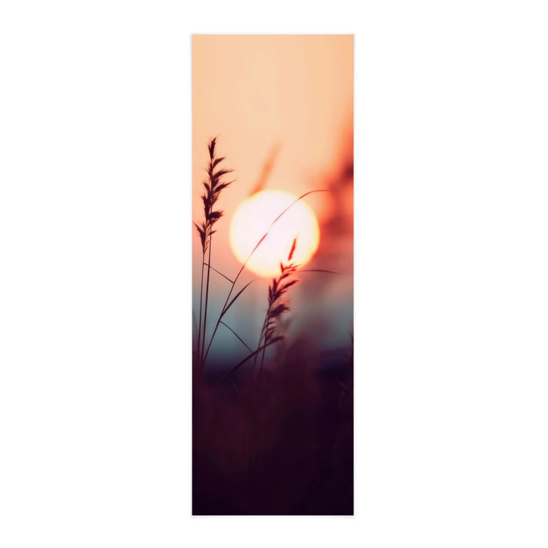 Stoffbild Gräser im Licht der glühenden Sonne - Treechild - Panorama 