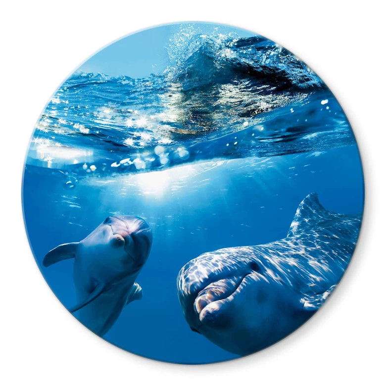 Tischplatte aus Glas - Dolphins Underwater - Rund 