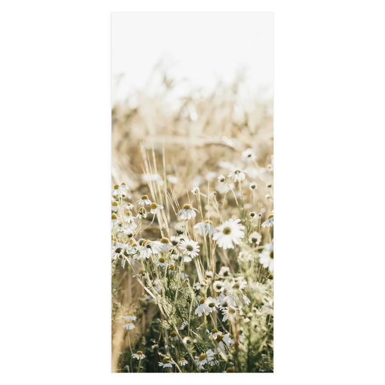 Türfolie Sommerwiese mit Kamille - Annie - Selbstklebende Türdeko 