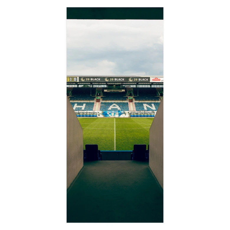 Türfolie FC Hansa Rostock Stadion Durchgang 