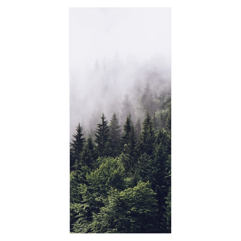 Türfolie Nebliger Wald - Selbstklebende Türdeko 