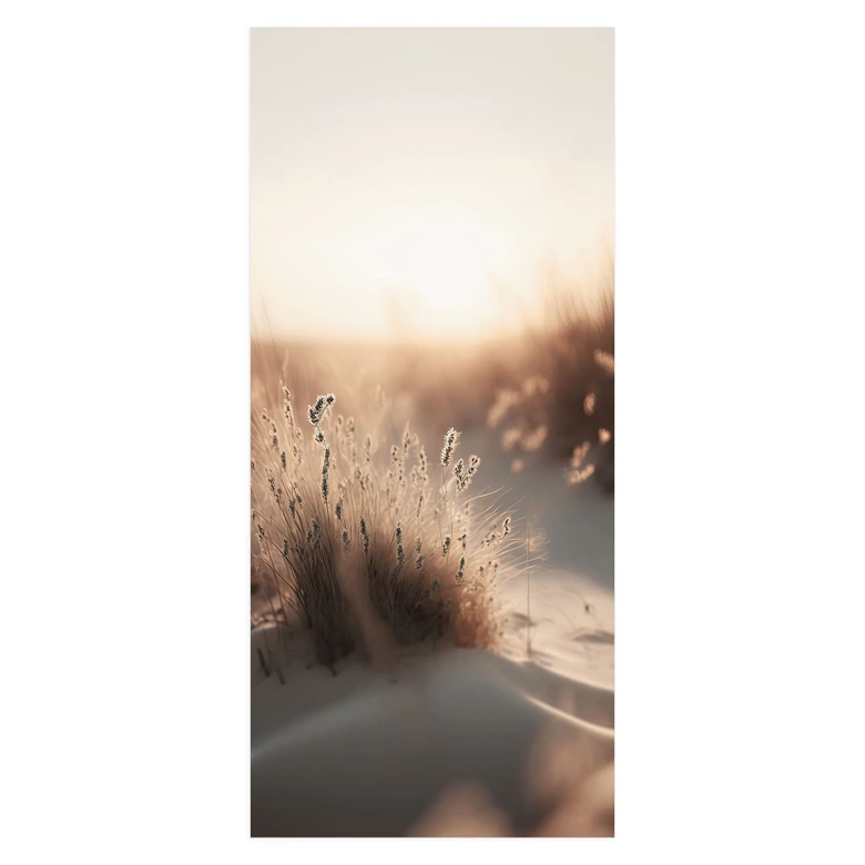 Door film sunset over the dunes - Treechild - Self-adhesive door decoration 