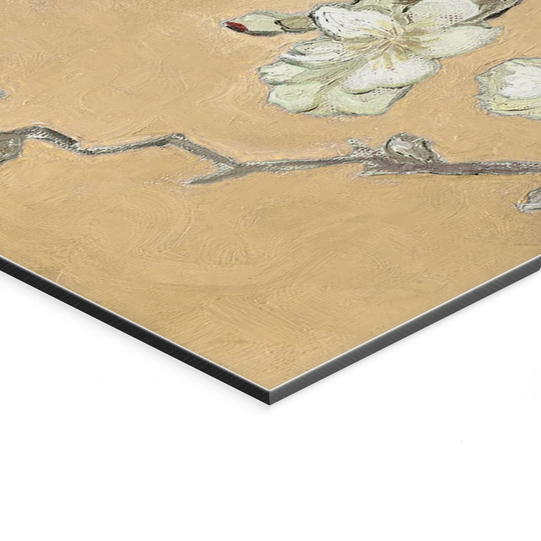 Wandbild van Gogh - Mandelblüte - creme - Panorama - Alu-Dibond 