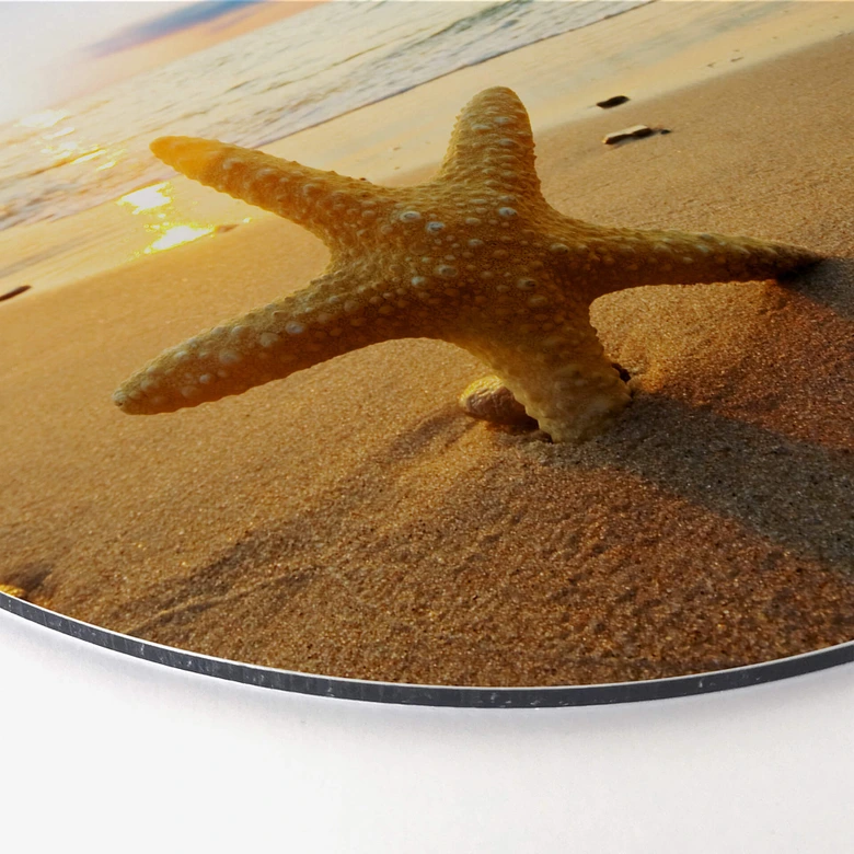 Alu-Dibond Zeester in het Zand - rond 