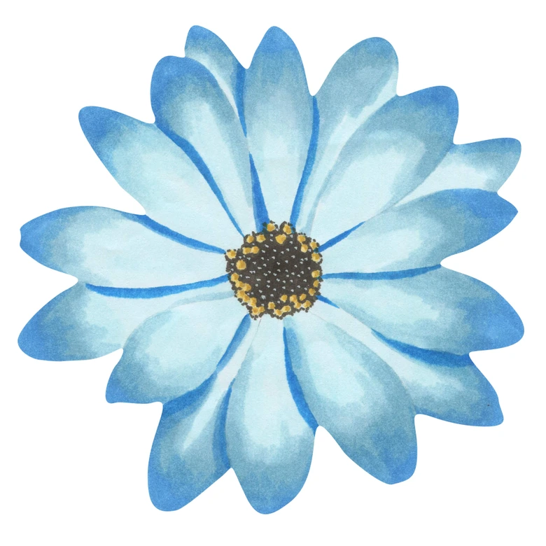 Wandtattoo Bornholmer Margeritenblüte blau Watercolor 