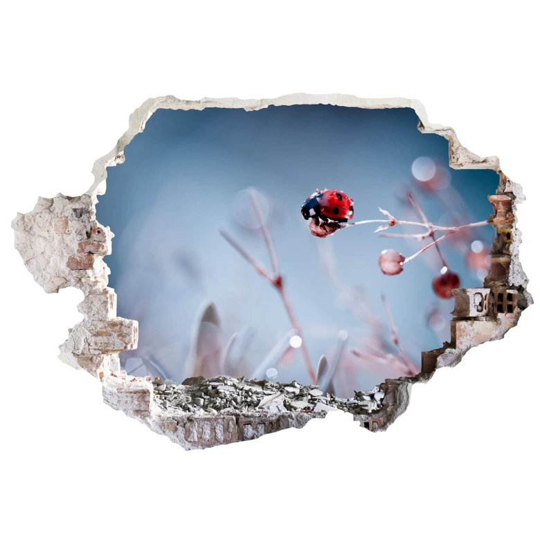 3D Muursticker Bravin - Lieveheersbeestje 