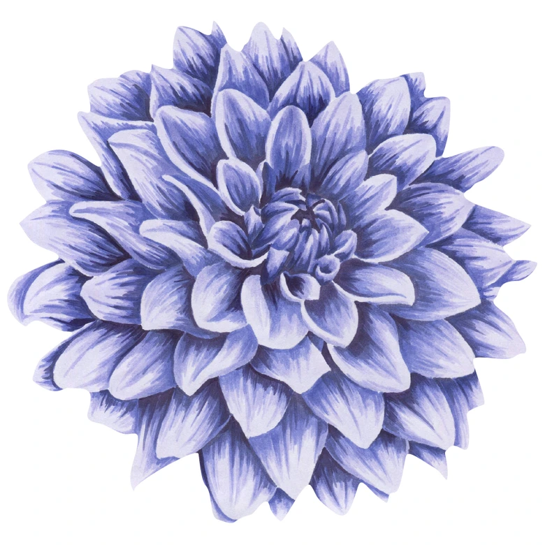 Wandtattoo Dahlienblüte lila Watercolor 