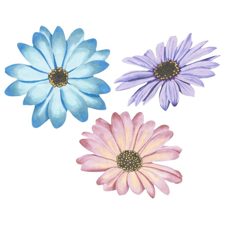Wandtattoo Dreierlei Bornholmer Margeritenblüten - Watercolour 