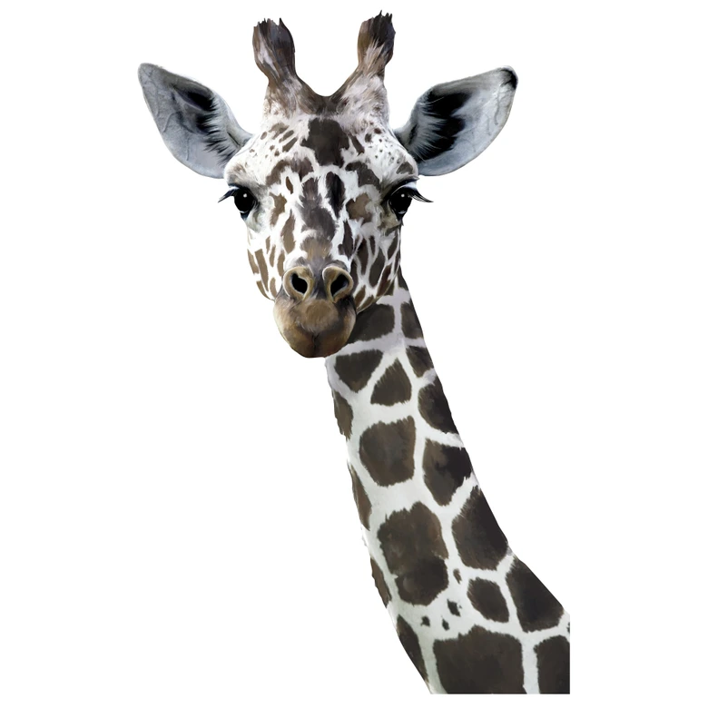 Wandtattoo Giraffe - Graves 