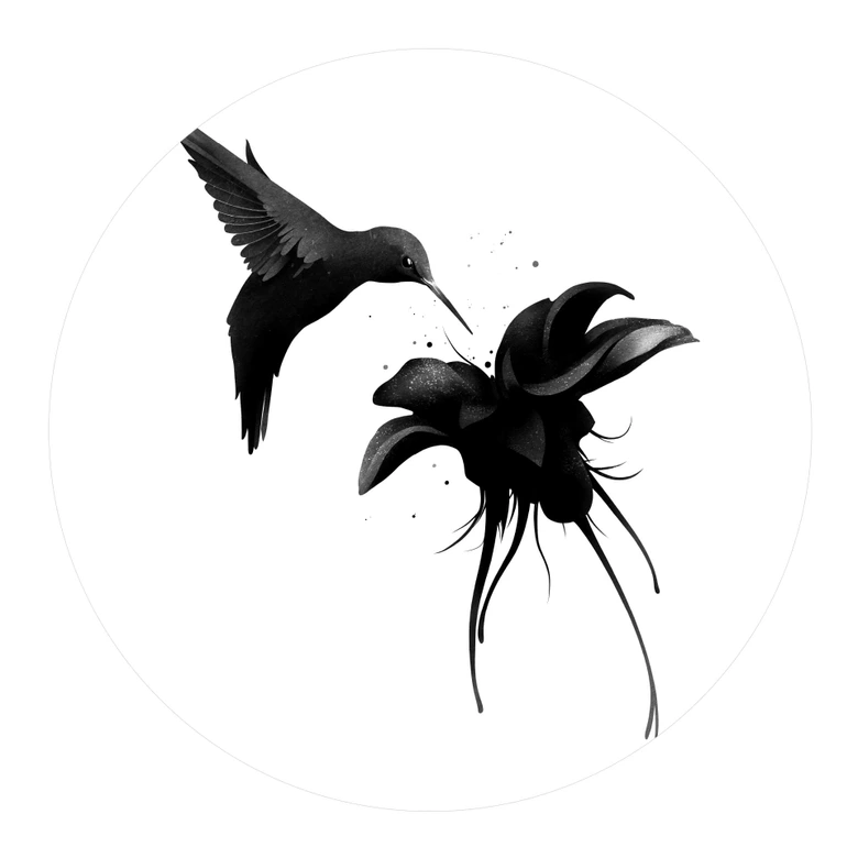 Muursticker Rond Ireland - Hummingbird 