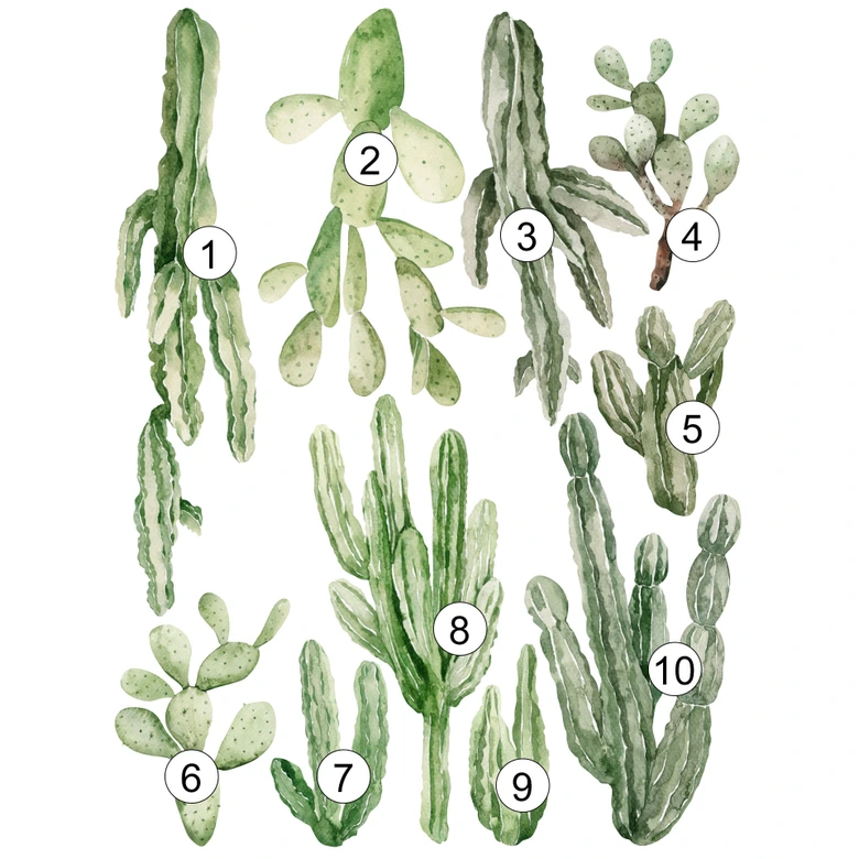 Wandtattoo Kakteen Set XXL (10-teilig) 