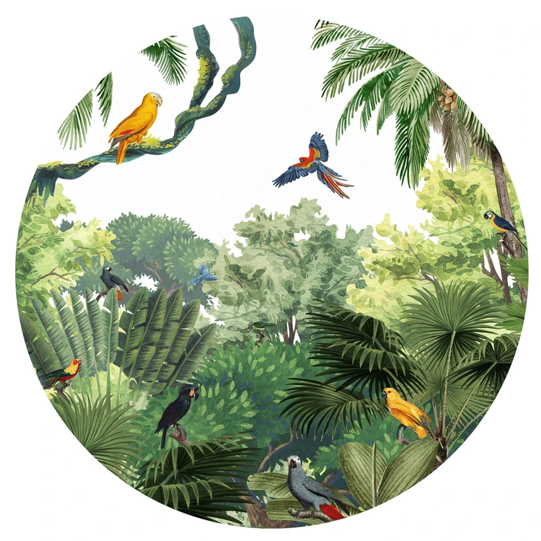 Sticker mural Kikki Belle - Oiseaux tropicaux - Rond 