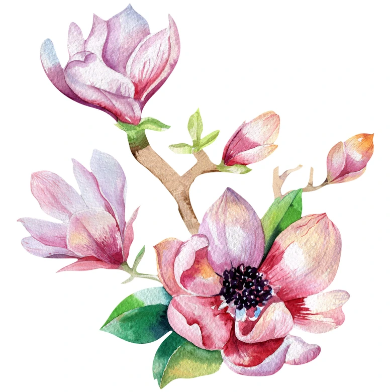 Wandtattoo Kvilis - Magnolien 03 