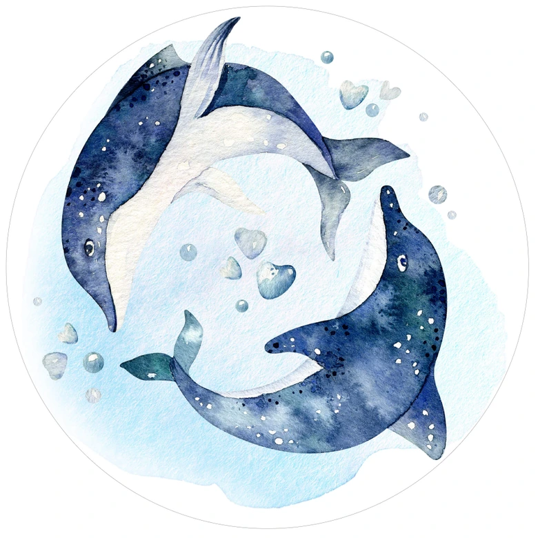 Sticker mural Kvilis - Dauphin - Rond 