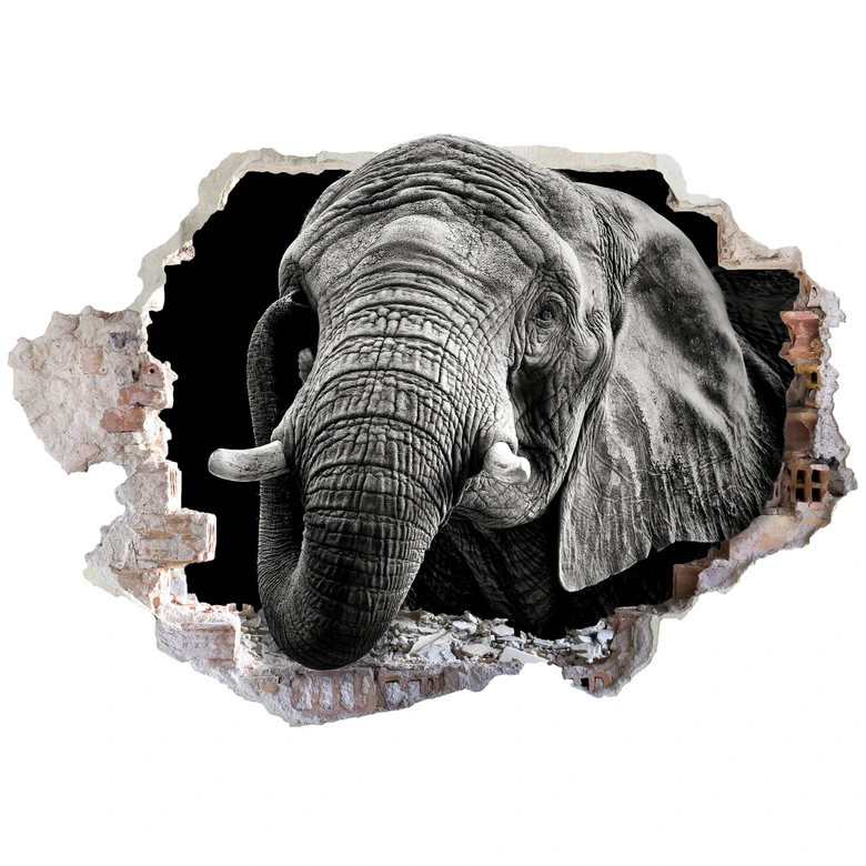 3D Wandtattoo Meermann - Afrikanischer Elefant 