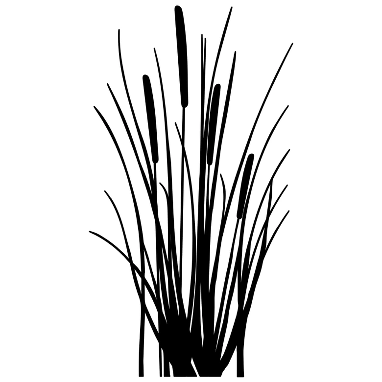 Wandtattoo Schilfgras 