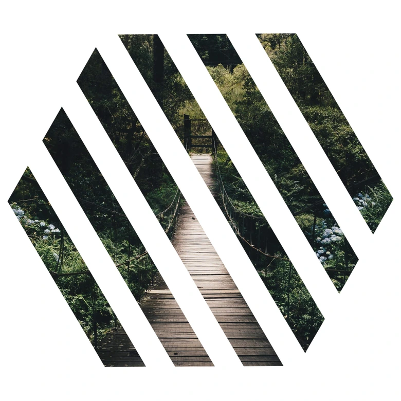 Wandtattoo Waldweg Hexagon in Streifen 