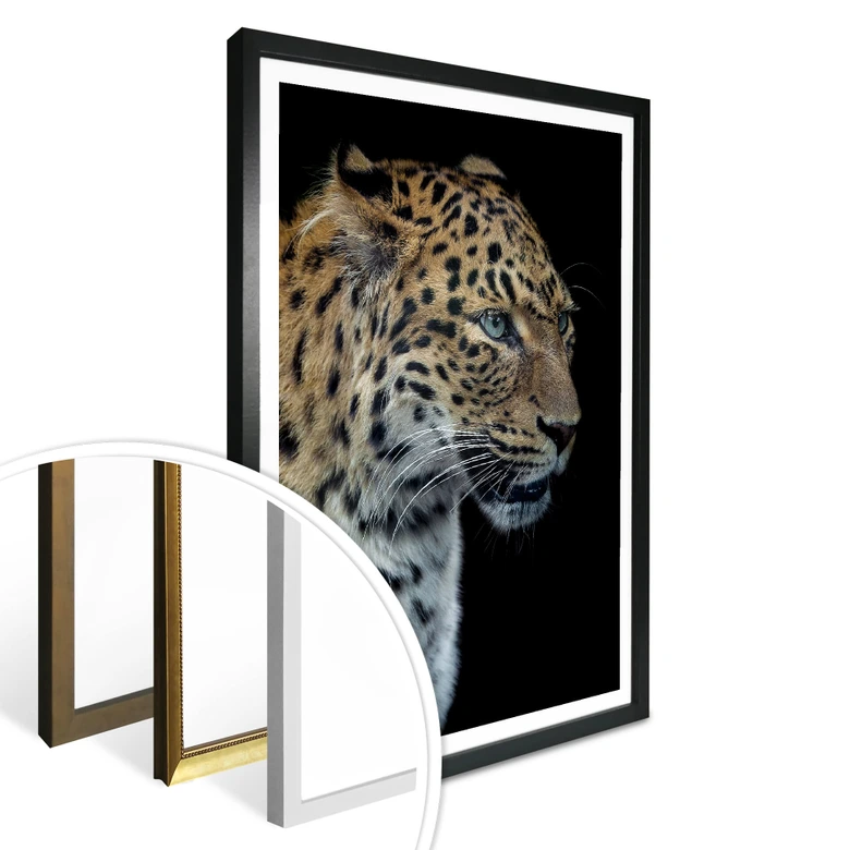 Poster Dambreville - Neugieriger Jaguar 