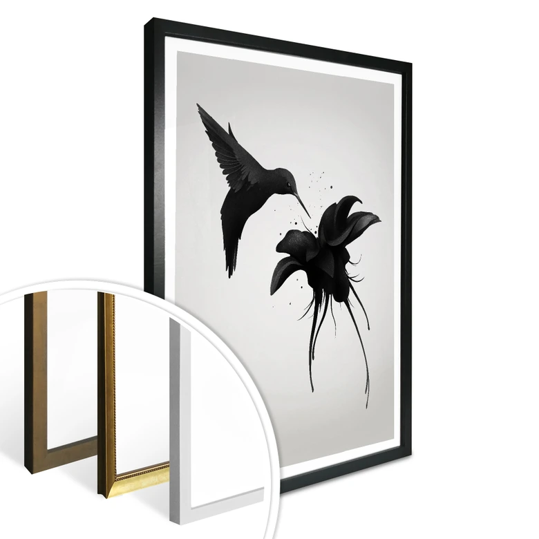 Poster Ireland - Chorum - Hummingbird 