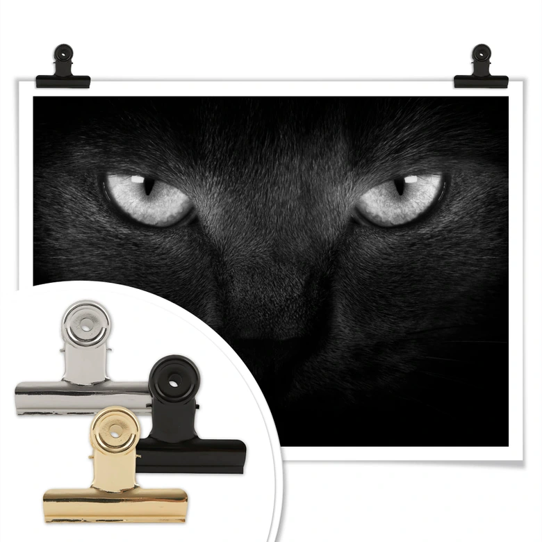 Poster Katzenaugen - schwarz/weiß 