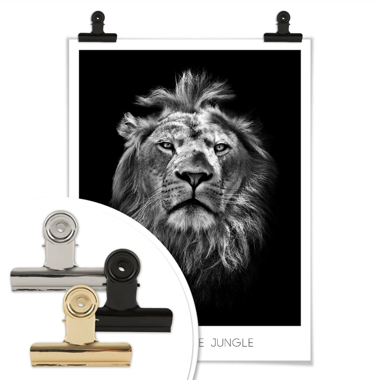 Poster Lion - Roi de la jungle 