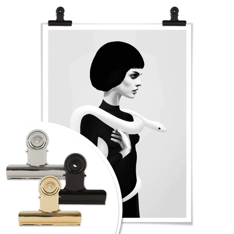 Poster Ireland - Only Skin - Die Schlange 