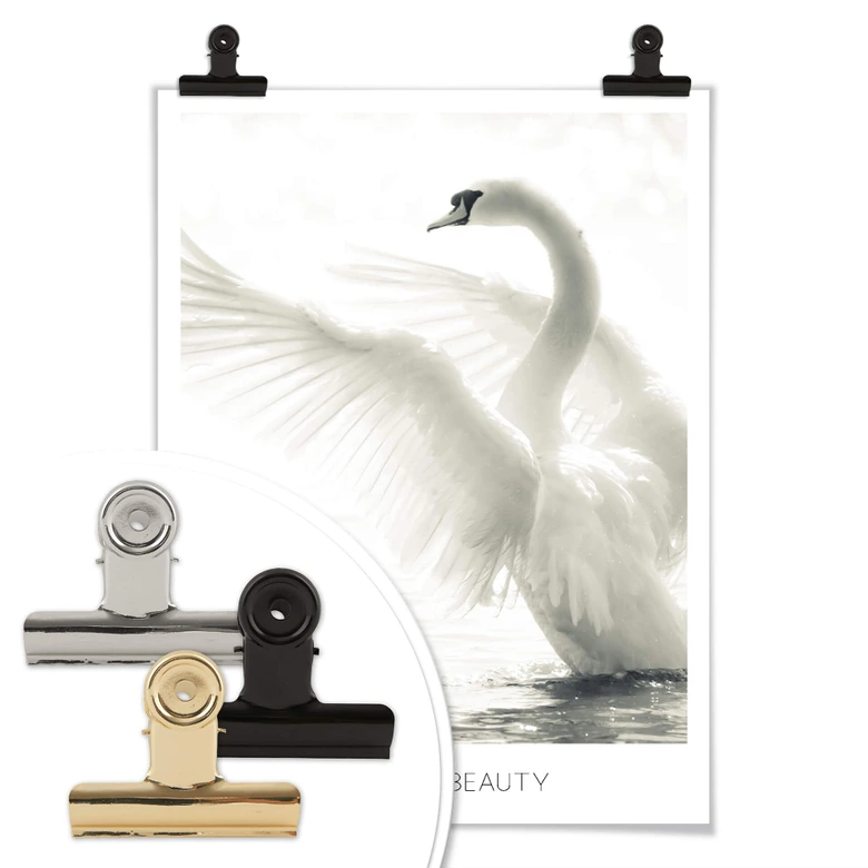 Poster Majestätisk svan - Naturlig skönhet 
