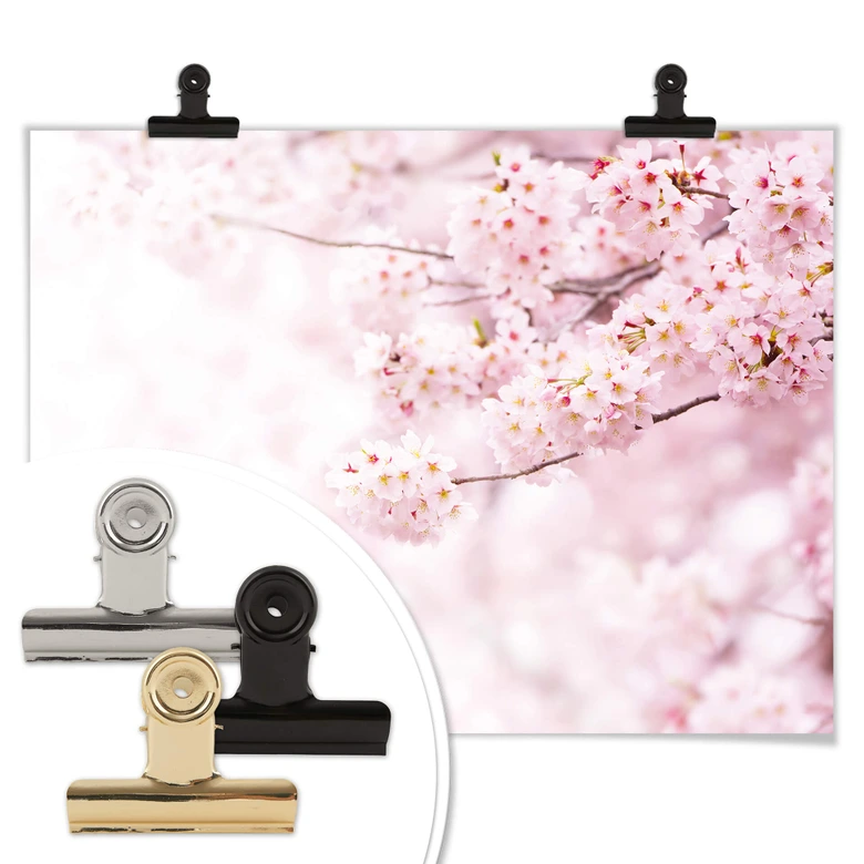 Poster Zarte Kirschblüten 