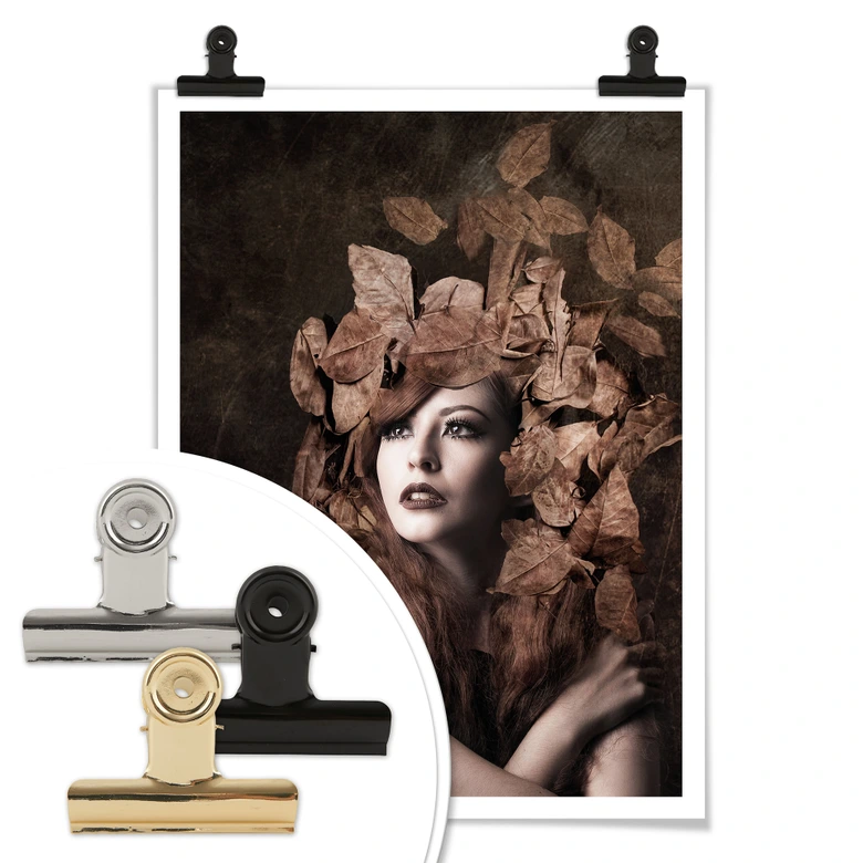 Poster Besari - Artemis, fille de Zeus 