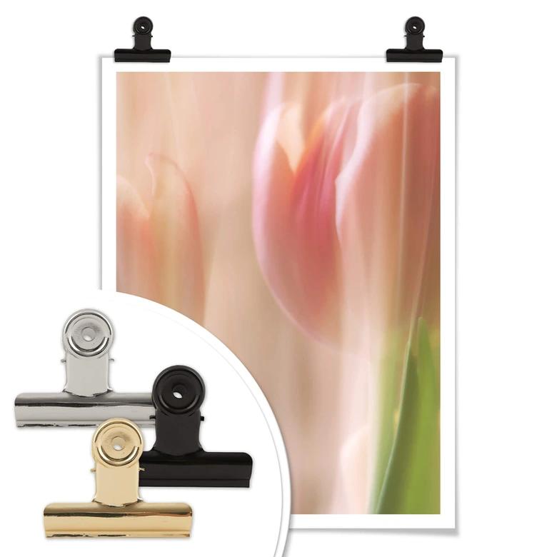 Poster Westum - Shy tulips 