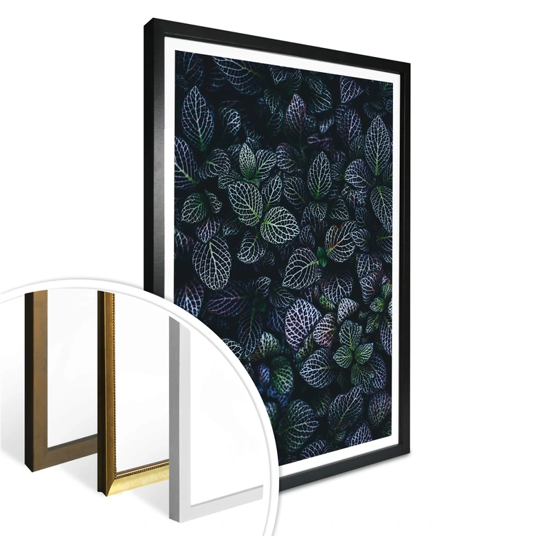 Poster Botanical Contrast 