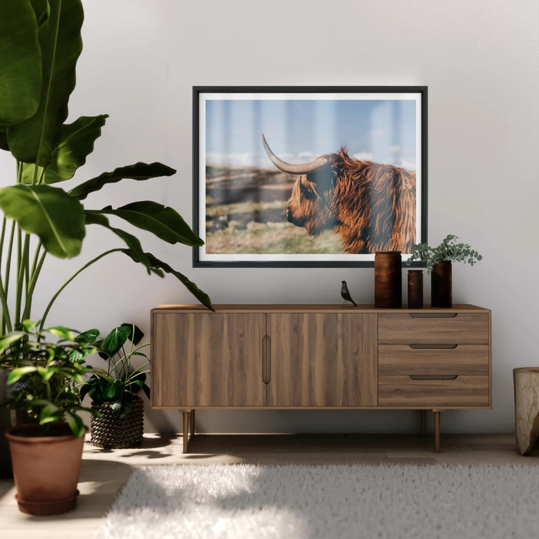 Poster - Highland Cow 02 