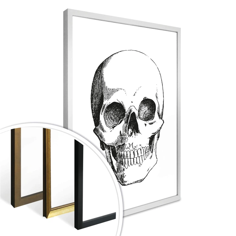 Plakat - Ludzka czaszka 