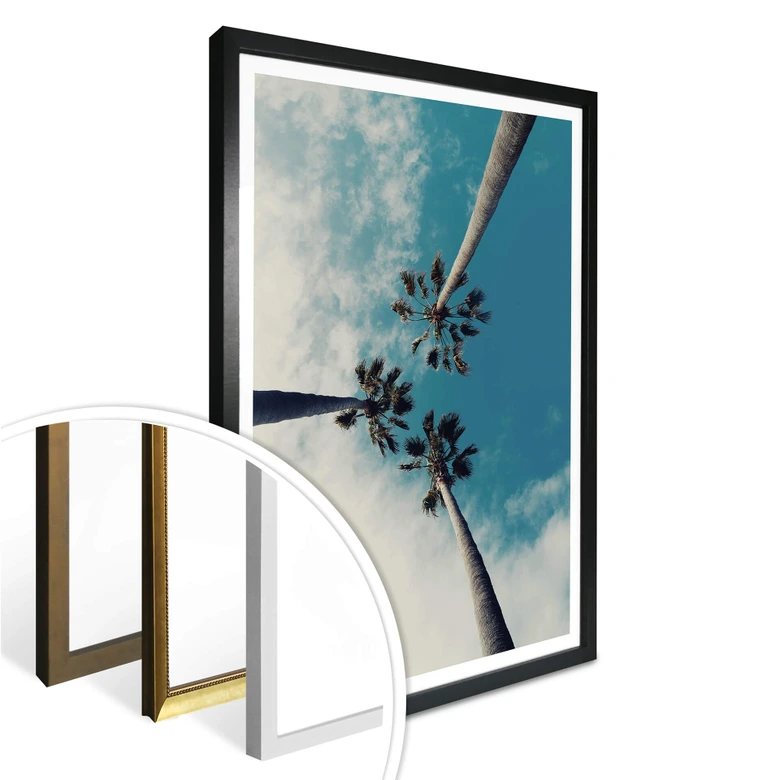 Poster Palm Trees 03 