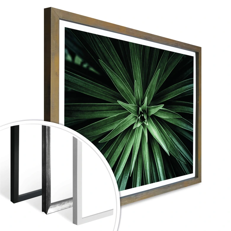 Poster Botanical 