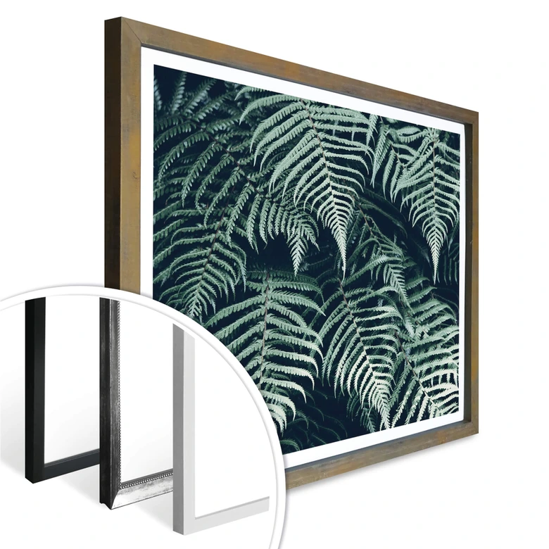 Poster Farn 02 