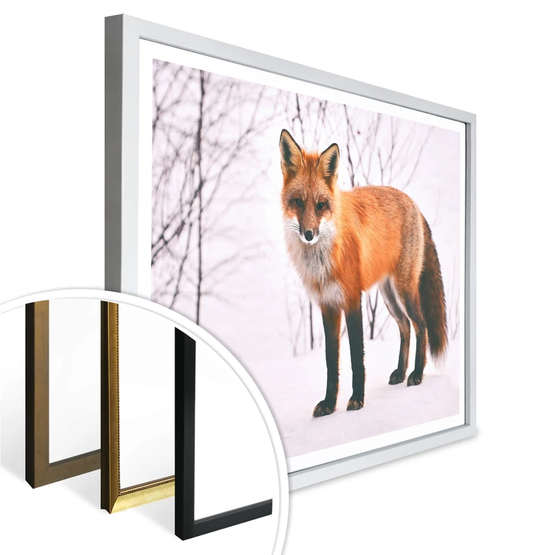 Poster Fuchs im Schnee - 2-teilig 