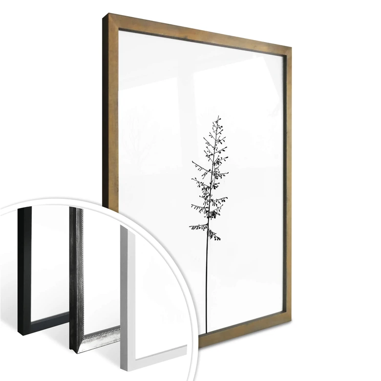 Poster Wiesengräser 