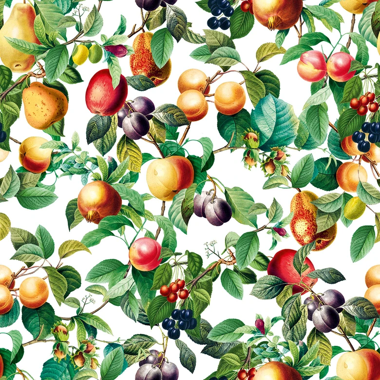 Papel pintado no tejido frutas, hojas naturaleza floral mate en negro  