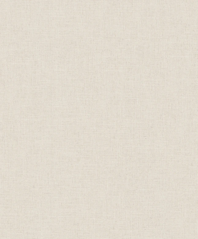 Vliesbehang, structuur effen modern mat in beige bruin 