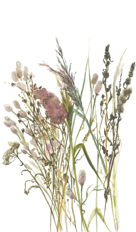 Fototapete Blumen, Blätter Floral Natur matt in Weiß, Rot 2,70 x 1,59m 