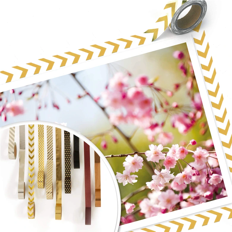 Poster Cherry Blossoms 