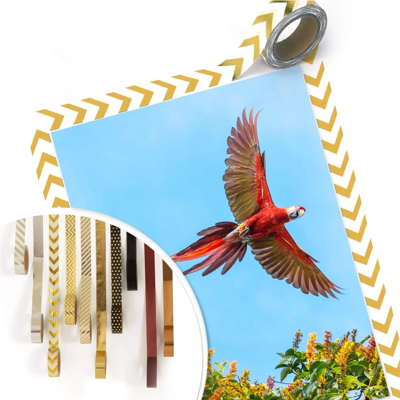 Poster Colombo – Papagei im Flug 