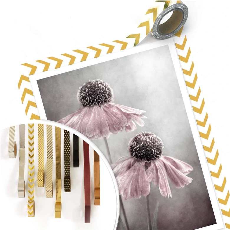 Poster Disher - Rosa Duett 